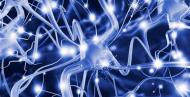Нервные клетки не восстанавливаются?. Наука и образование